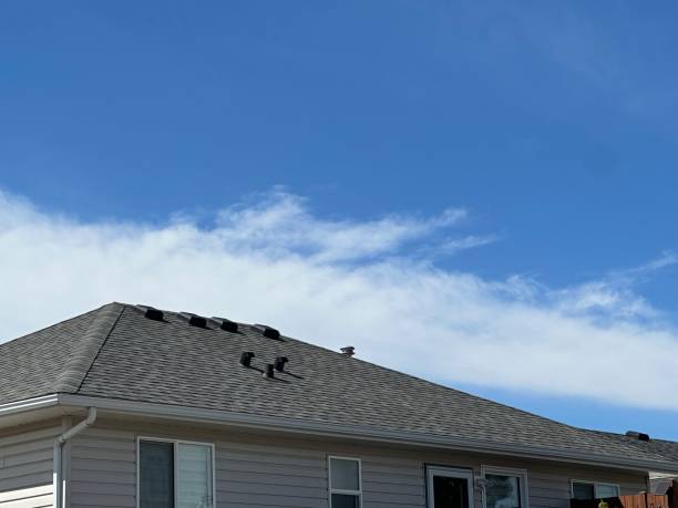 Best Rubber Roofing (EPDM, TPO)  in East Peoria, IL